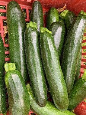 PROMO - 2kg Courgette