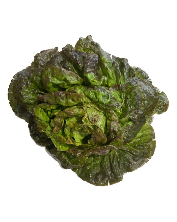 Salade Rougette