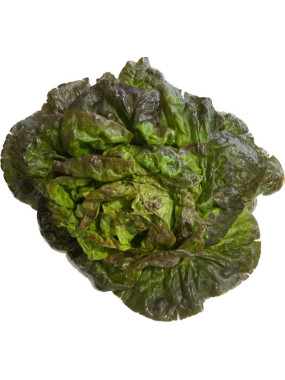 Salade Rougette