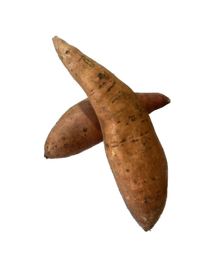 Patate Douce