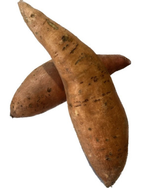 Patate Douce