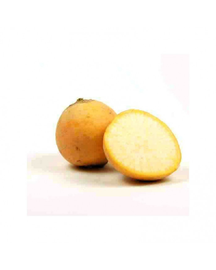 Navet boule d'or