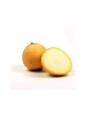 Navet boule d'or