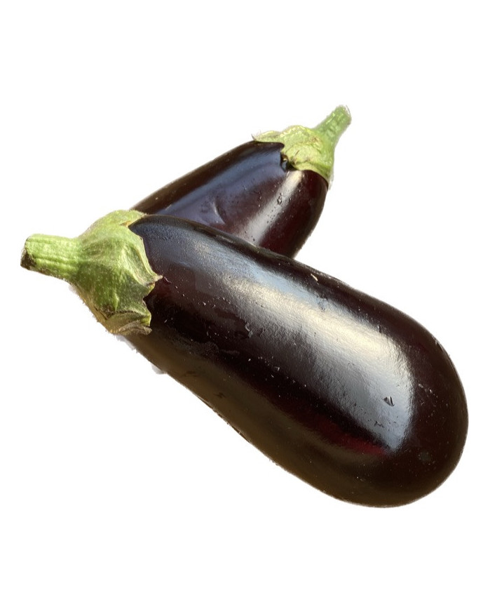 Aubergine