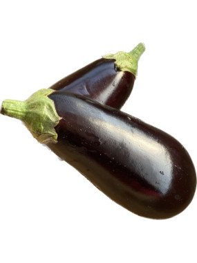 Aubergine