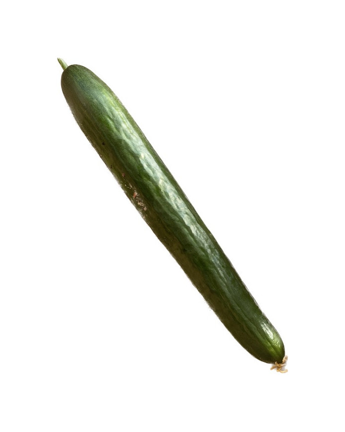 Concombre