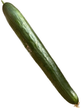 Concombre