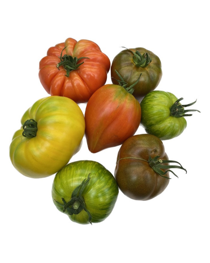 Tomates Anciennes Mélangées