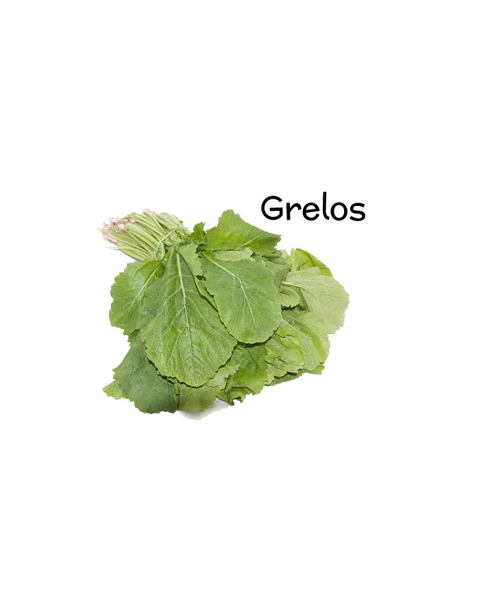 Botte de Grelos