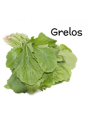 Botte de Grelos