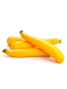 Courgette Jaune