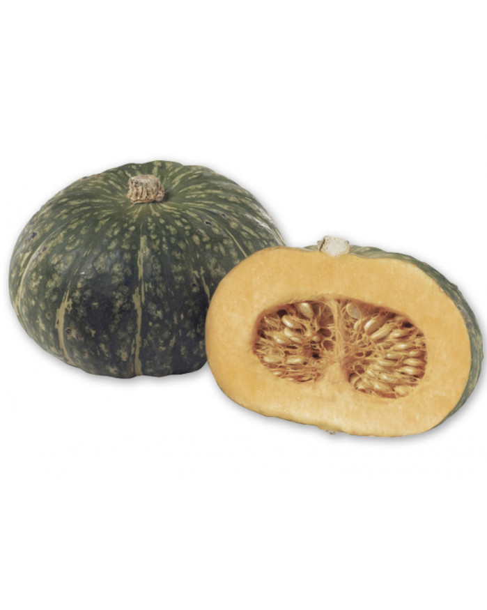 Potimarron